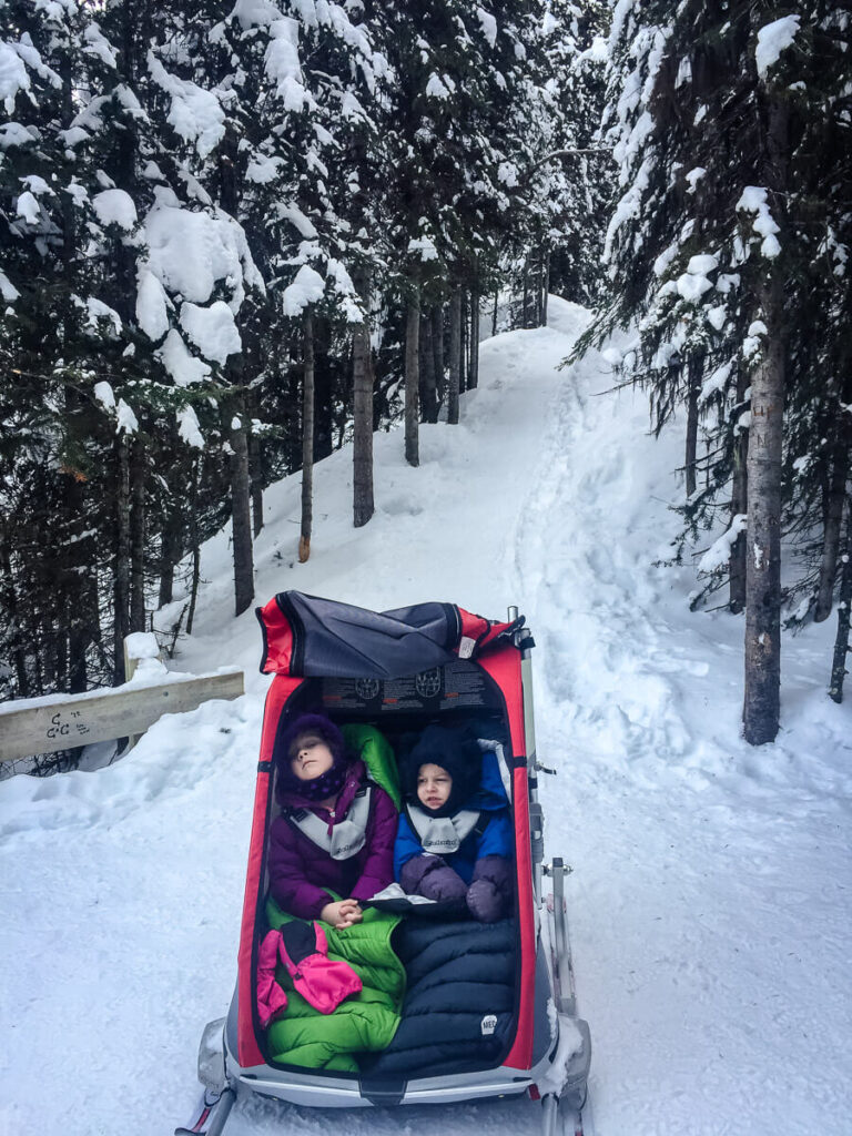 a baby and toddler in a thule chariot with ski attachment.