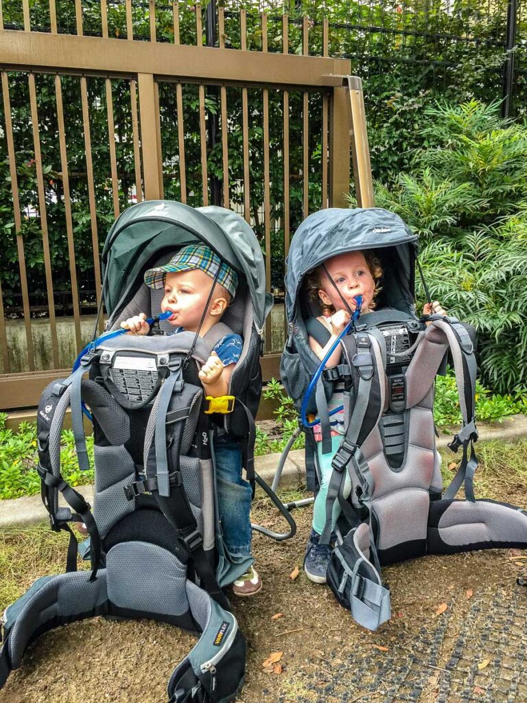 the BabyCanTravel.com kids sit in their Deuter Kid Comfort 3 backpack carriers. 