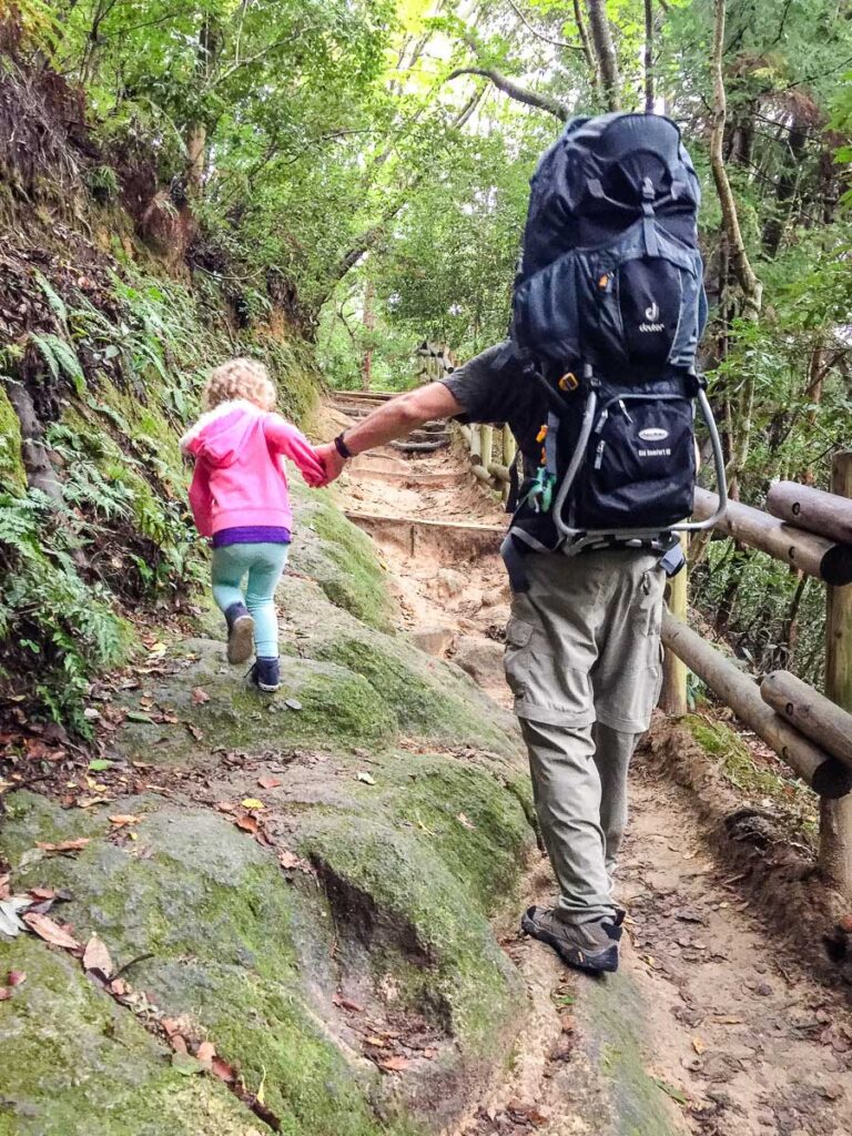 Dan Brewer, of BabyCanTravel.com, lets his toddler out of her hiking backpack carrier so she can join the family hike in Japan.