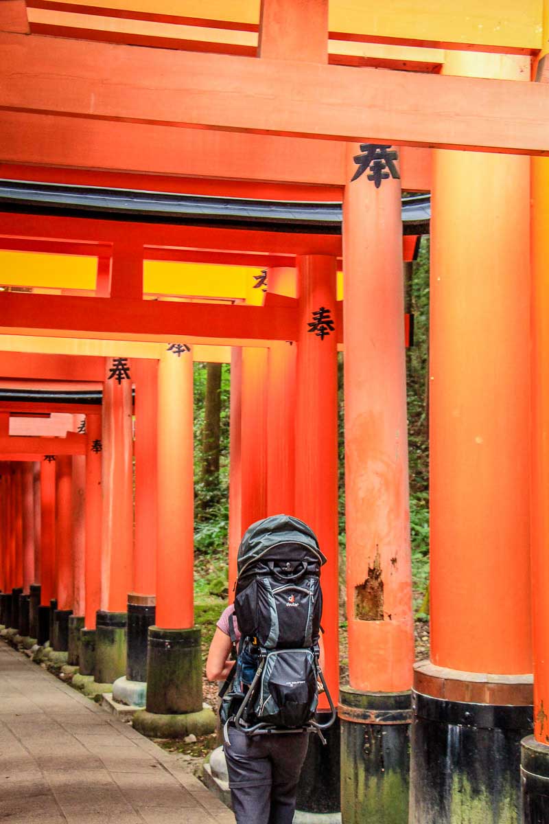 using best backpack carrier for toddlers for hiking in Kyoto with a baby and toddler