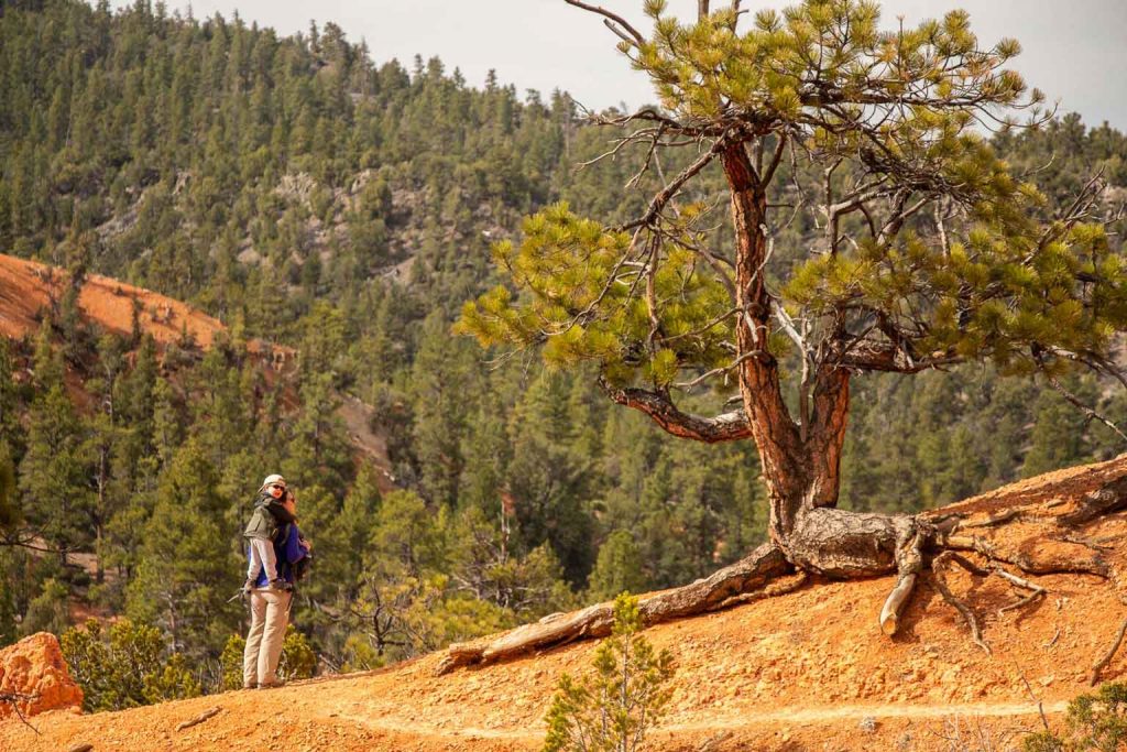 BabyCanTravel.com owner, Celine Brewer, carries her toddler with a Piggyback Rider Carrier while on a family hike in Utah.