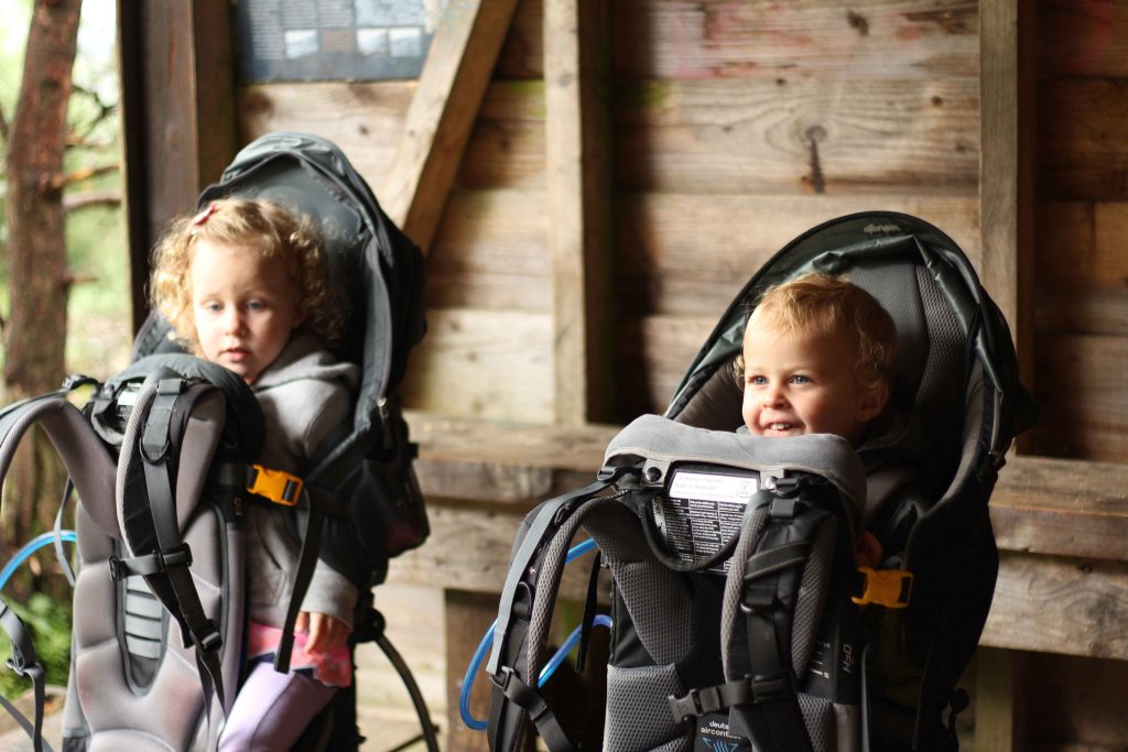 the two kids from the BabyCanTravel.com family, sit in their Deuter Kid Comfort backpack carriers while on a family hike on a trip to Norway.