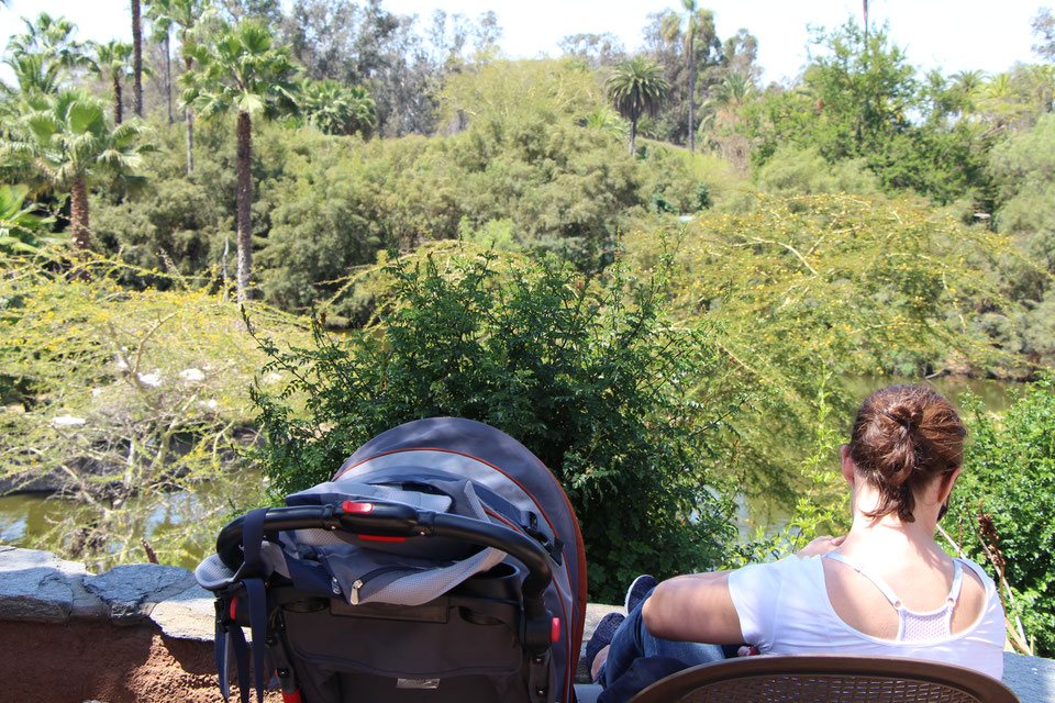 Nursing a baby at the Safari Park - San Diego.