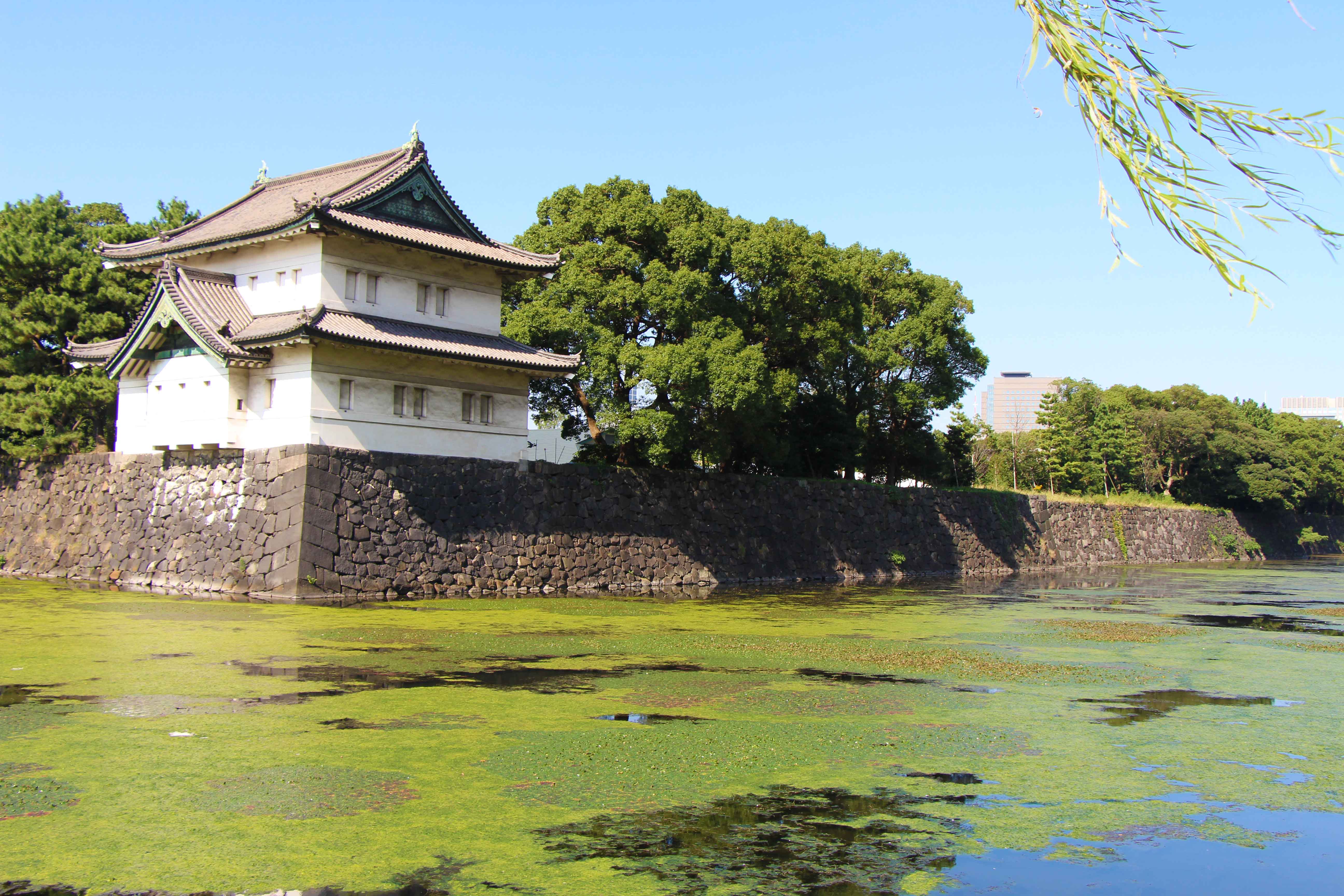 the Imperial Palace Gardens is a stroller-friendly thing to do in Tokyo with a baby