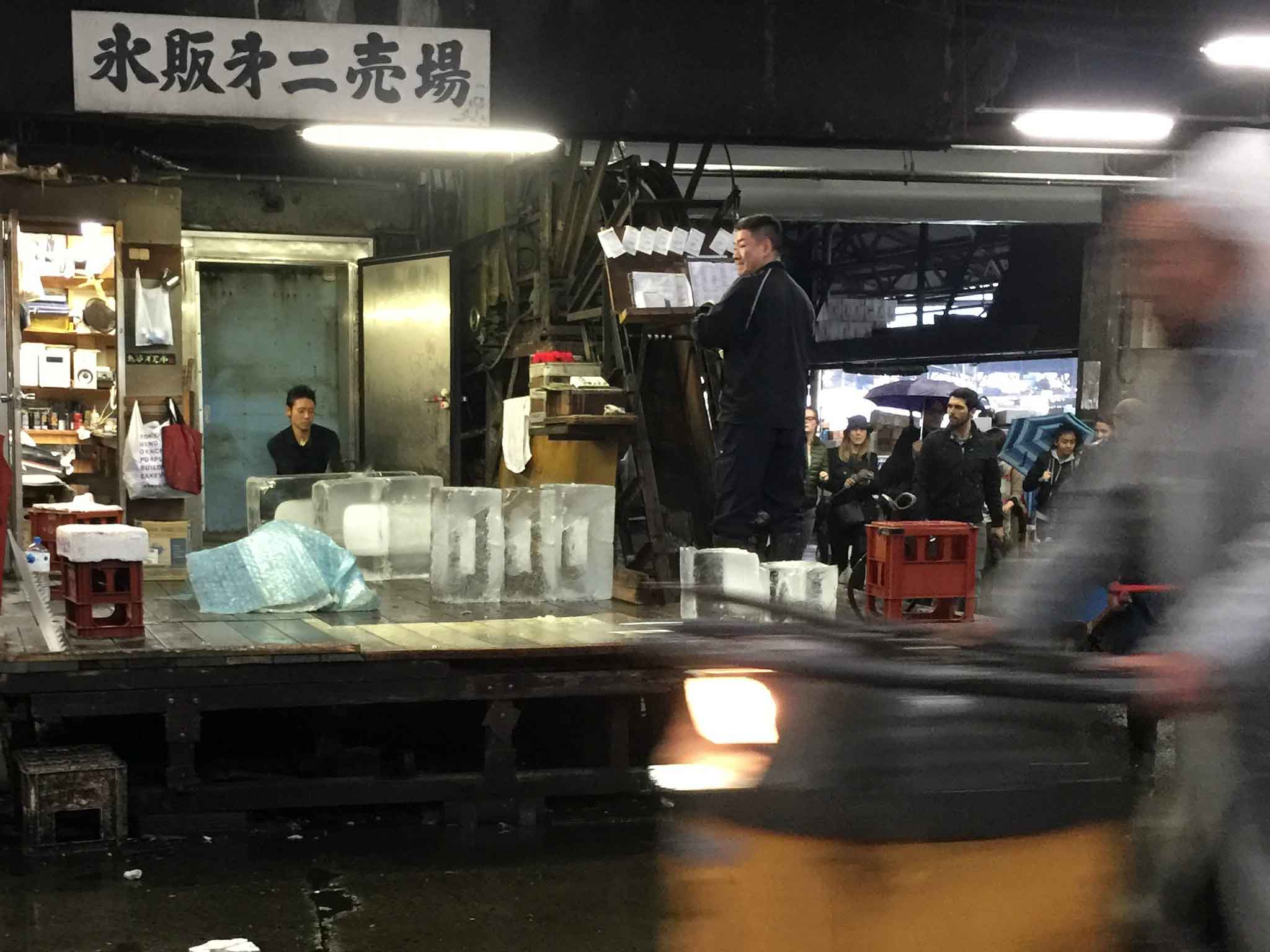 visit the Tokyo fish market when in japan with a toddler
