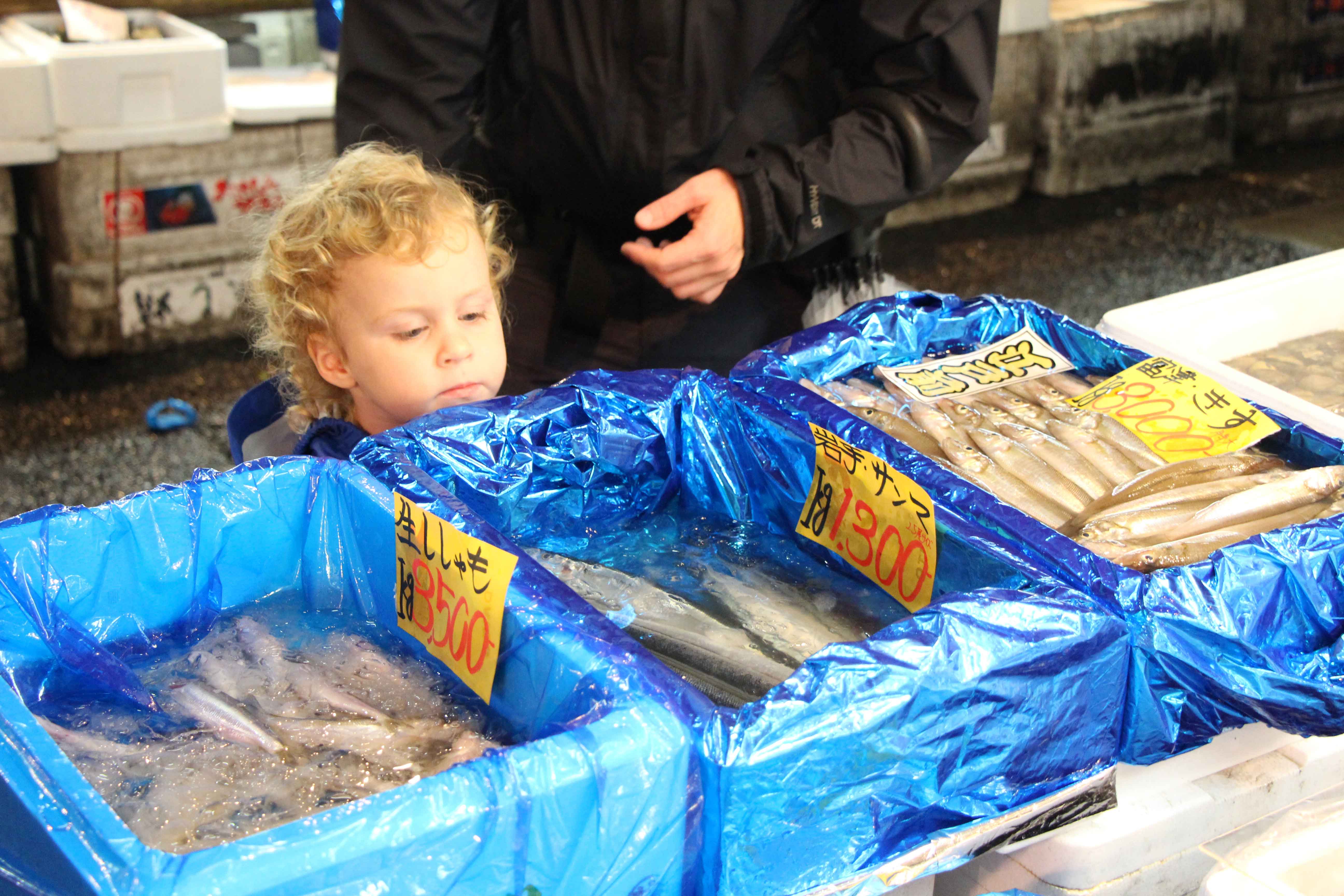 when visiting tokyo with a baby visit the 
Tsukiji Fish Market