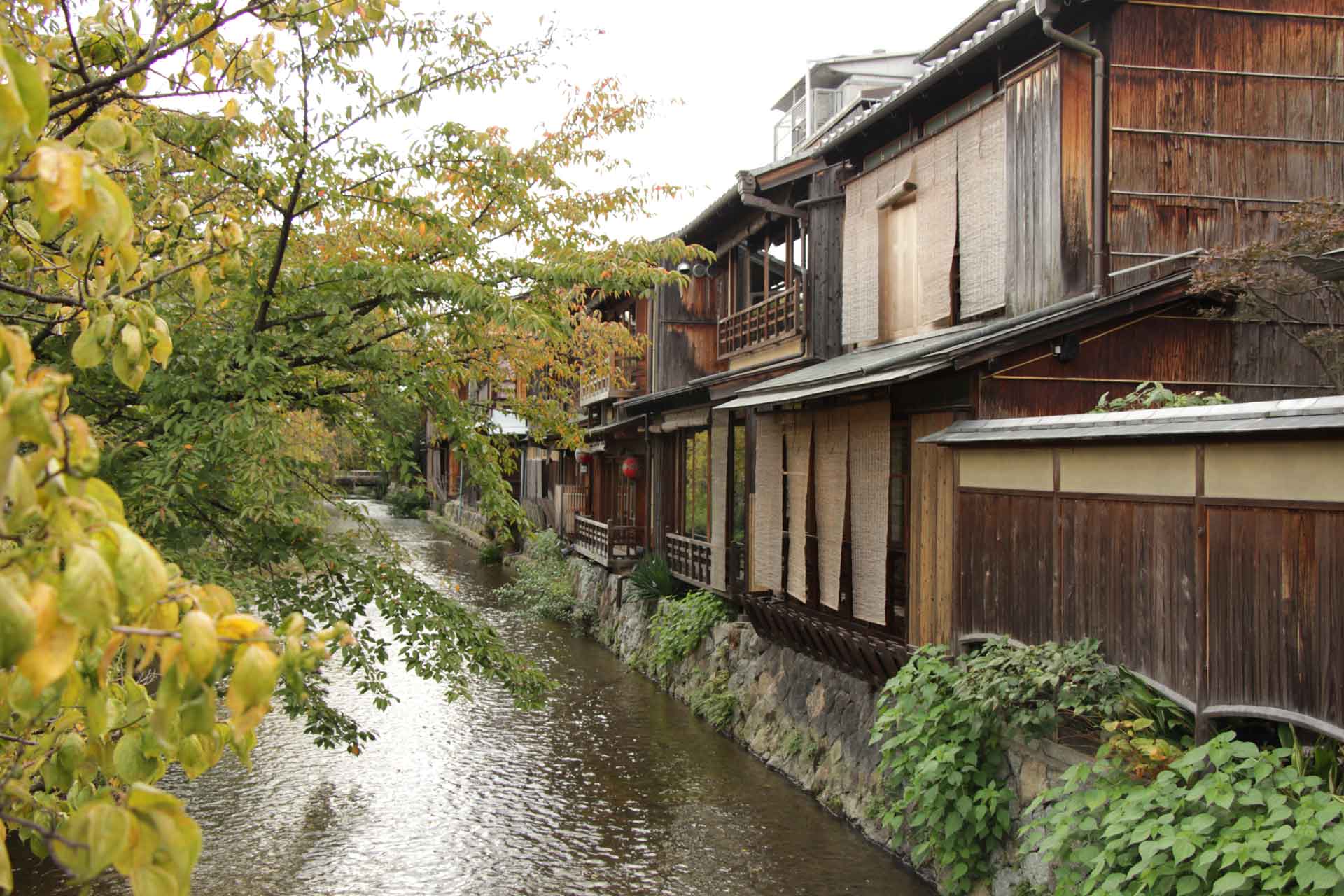 enjoy an easy walk down Shinbashi Dori in Kyoto