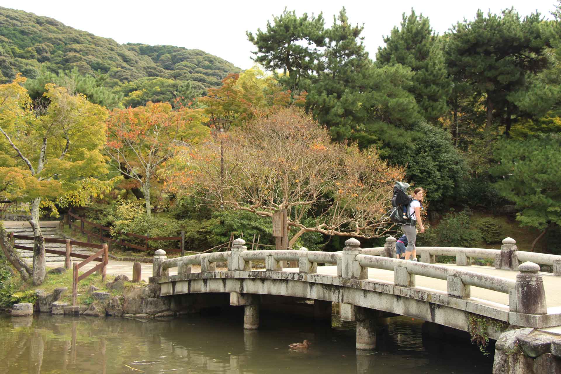 Maruyama Park is a fun place for a walk in Kyoto 