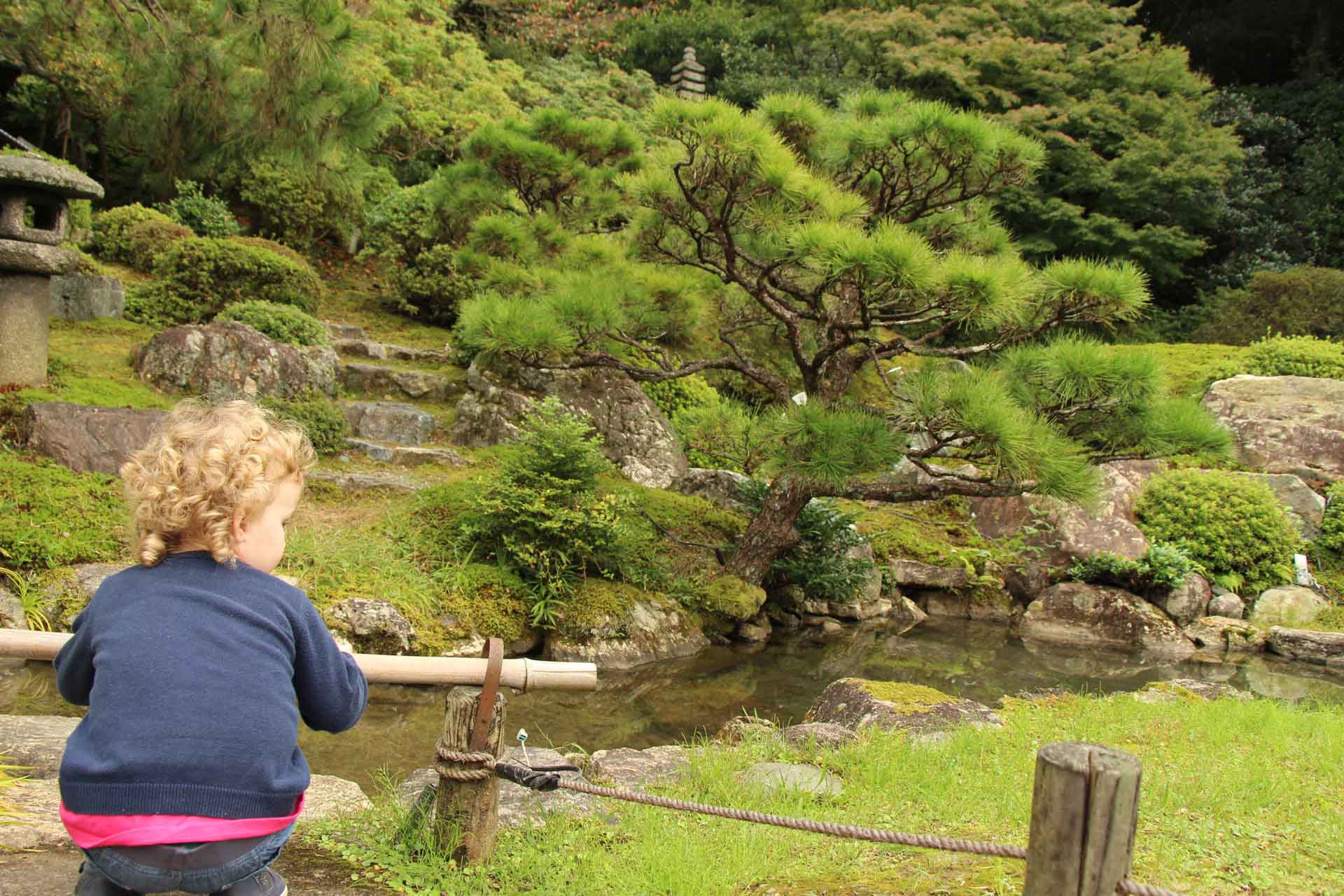 nature walks in Kyoto - Shoren-in Temple 