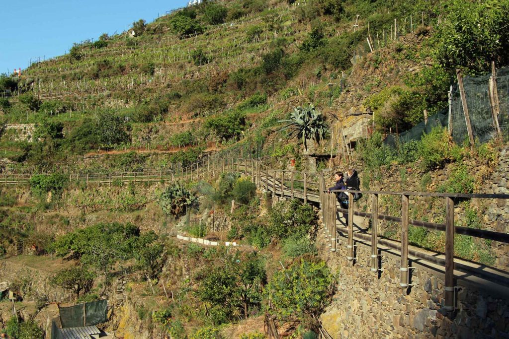 Hiking Cinque Terre with a toddler in a backpack carrier near Manarola, Italy