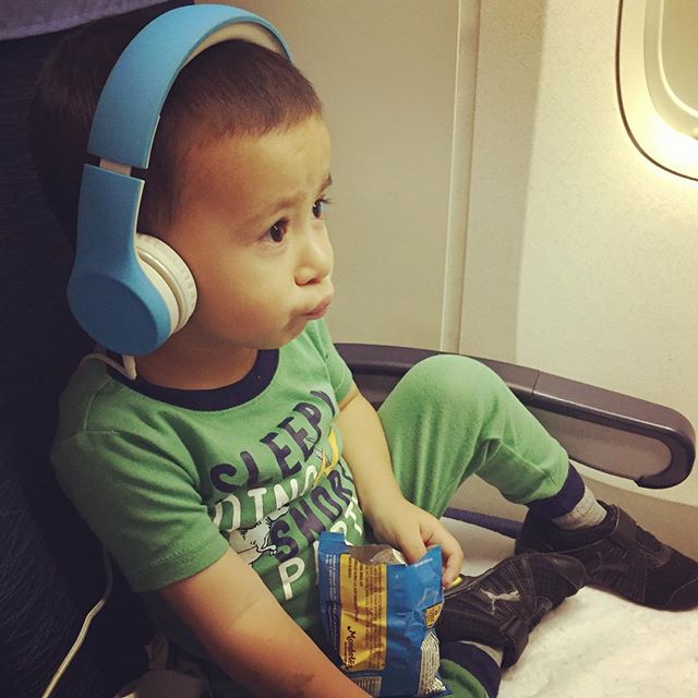 tips for flying with a 2 year old
