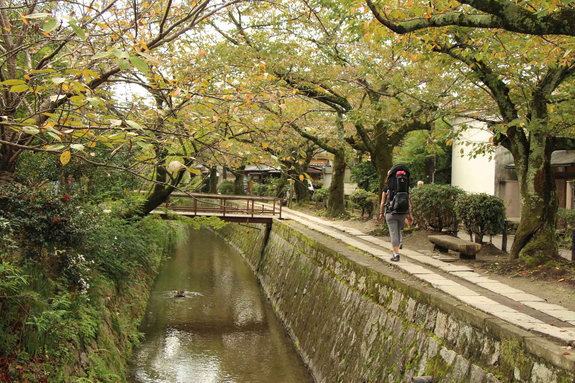 best easy walks in Kyoto - Philosopher’s Path 