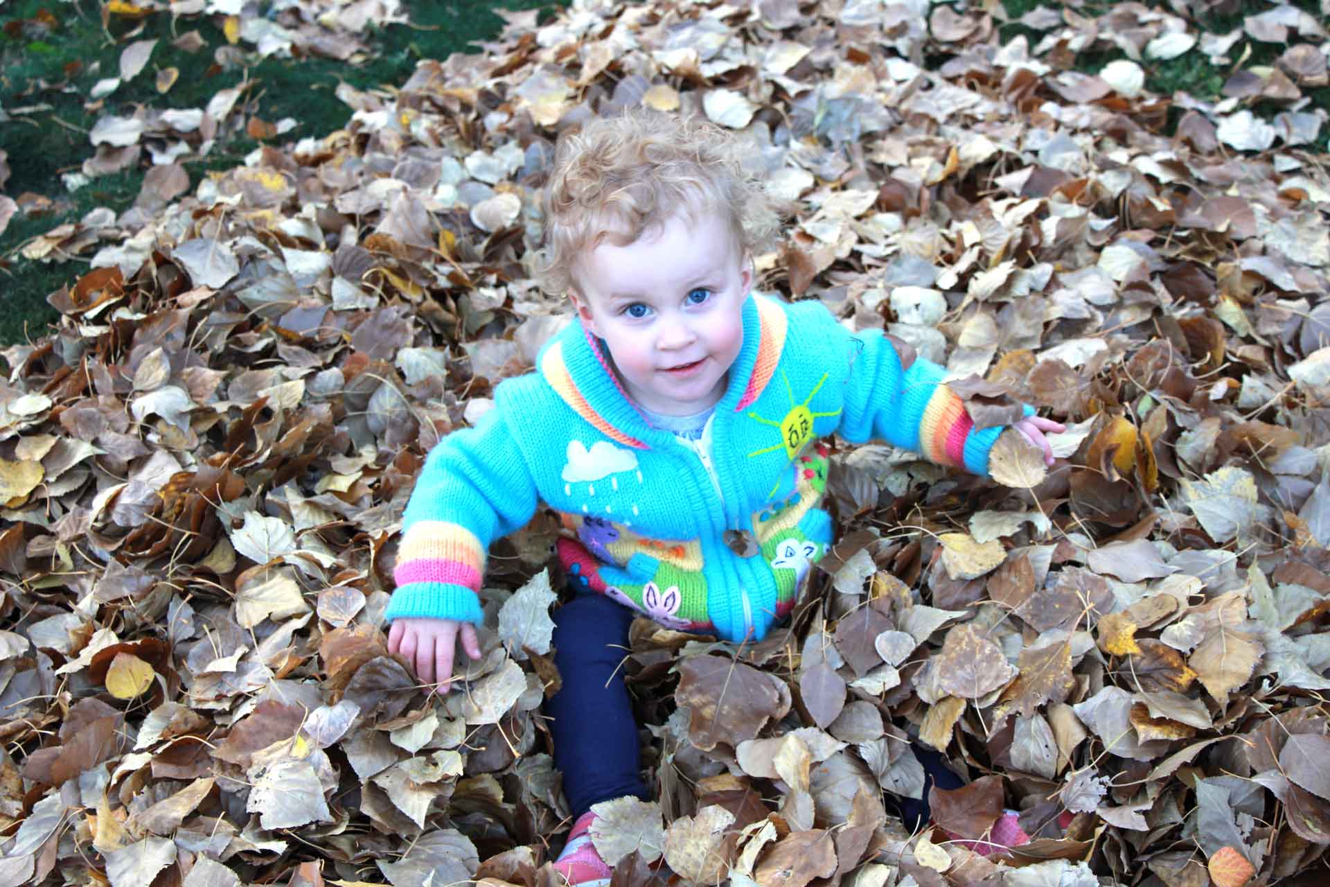 a toddler plays in the leaves - having adventures in your own backyard helps turn your child into a kid who loves to travel.