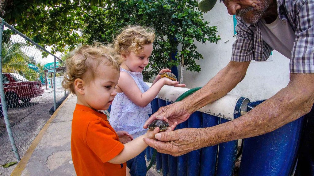 the turtle farm is a fun thing to do on Isla Mujeres with a toddler