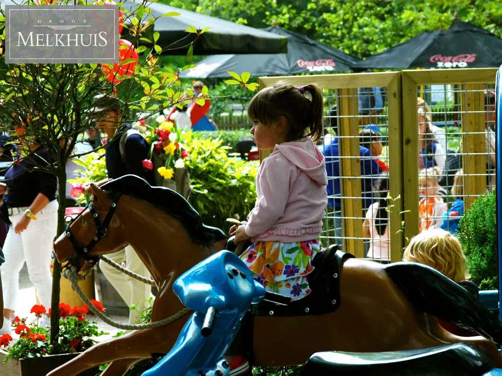 fun activities in amsterdam with toddlers