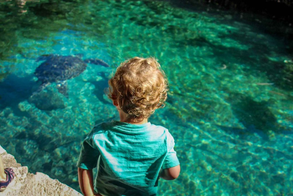 Xcaret Mexico with a baby or toddler