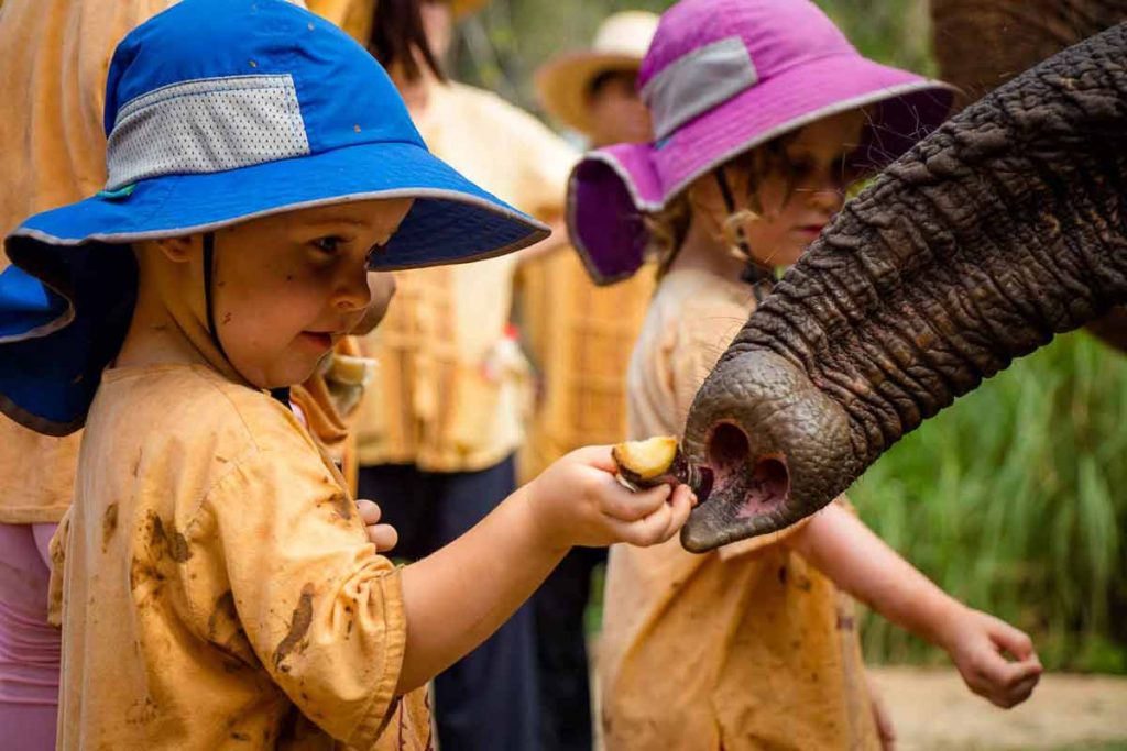 experiences like feeding elephants make Thailand one of the best international destinations with toddlers
