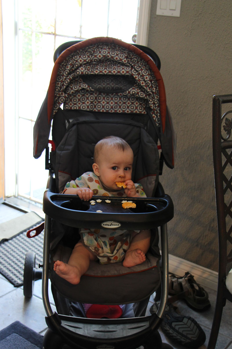 A baby, from BabyCanTravel.com, eats a snack while sitting in a stroller and wearing a washable bib for baby.