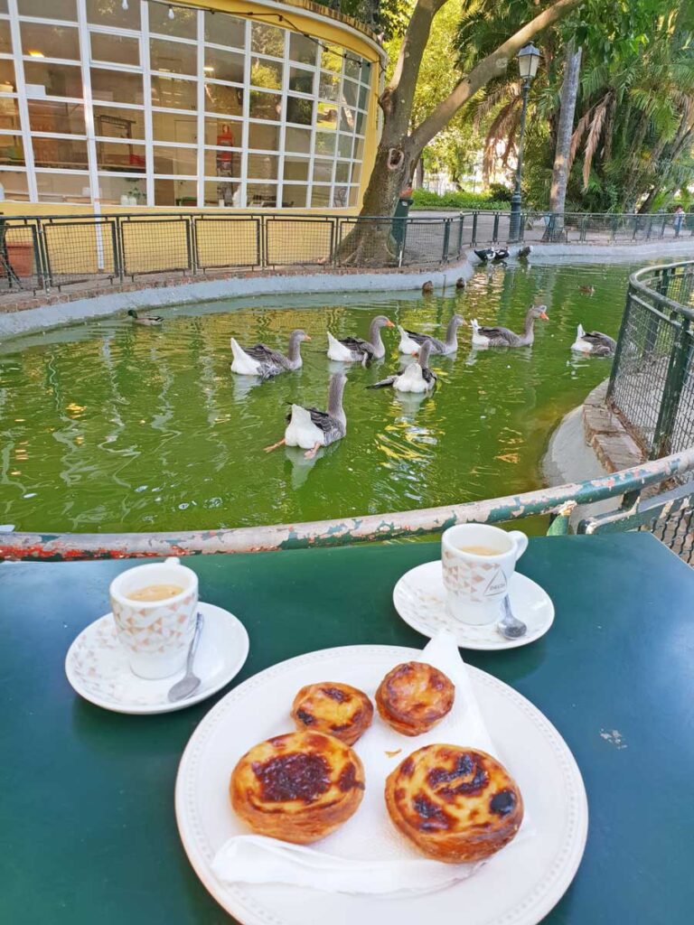 Jardim da Estrela is a fun thing to do in Lisbon Portugal with kids