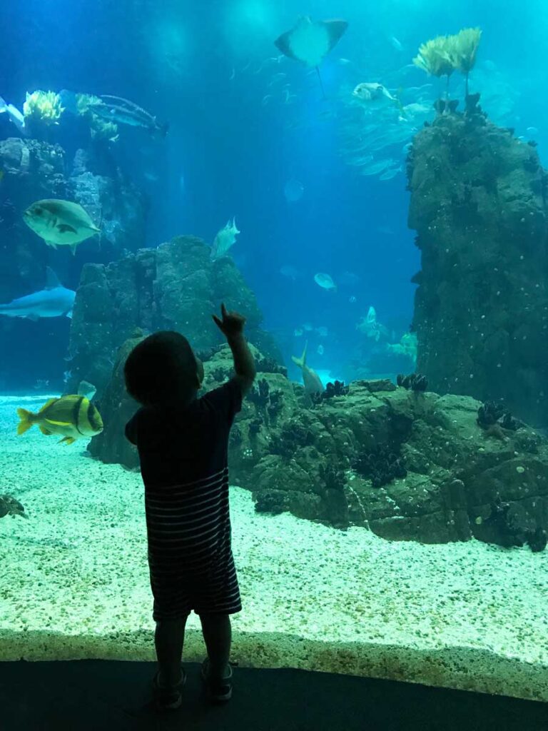 the Oceanarium aquarium is one of the best lisbon attractions for families