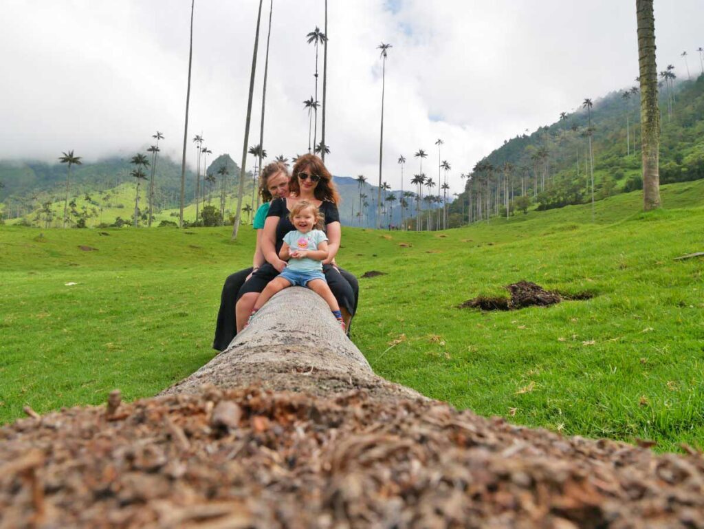 These wax palms in Salento, Colombia were part of the inspiration for the fictional Colombian setting in the hit Disney movie Encanto