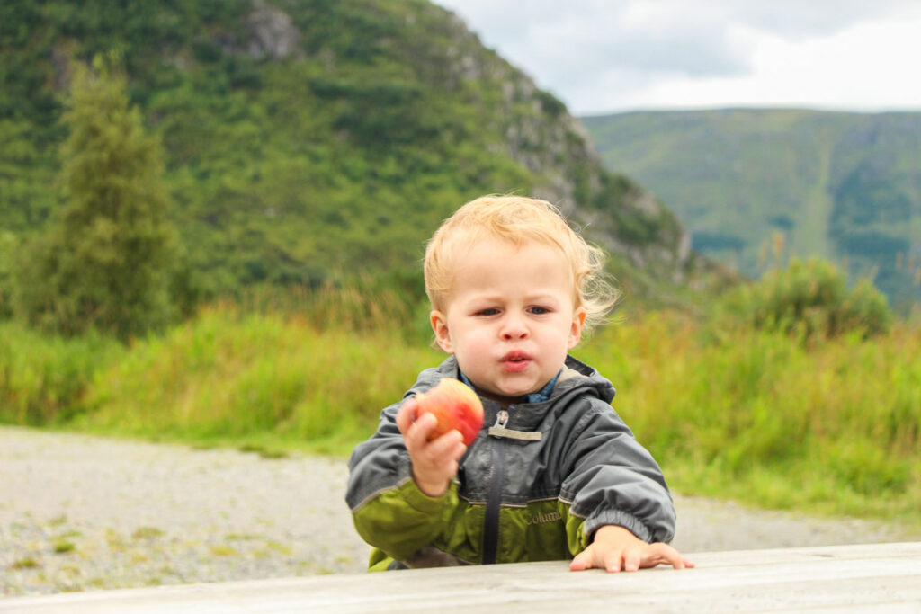 a toddler on road trip eats an apple at a picnic table.