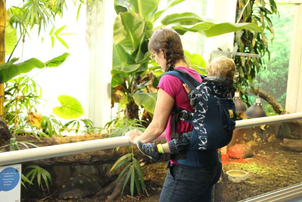 Baby travel expert Celine Brewer, carries her toddler in a LILLEbaby Complete All-Seasons carrier while on a family vacation.