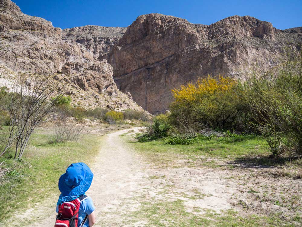 easy hikes with toddlers in Big Bend National Park