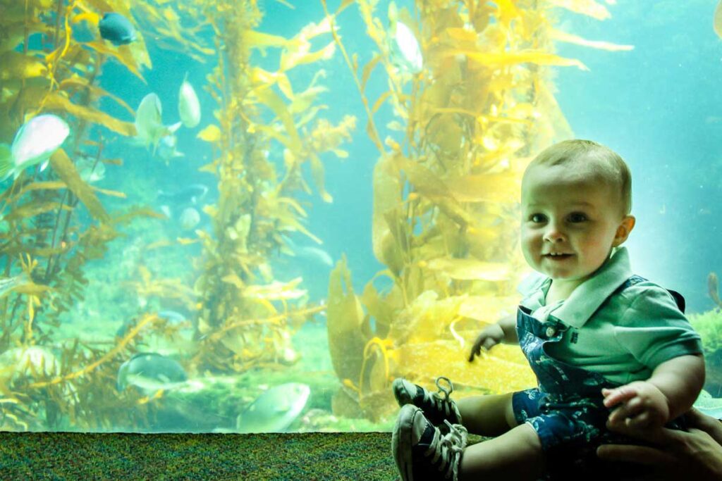 A baby fascinated by the fish at the Birch Aquarium Scripps in San Diego