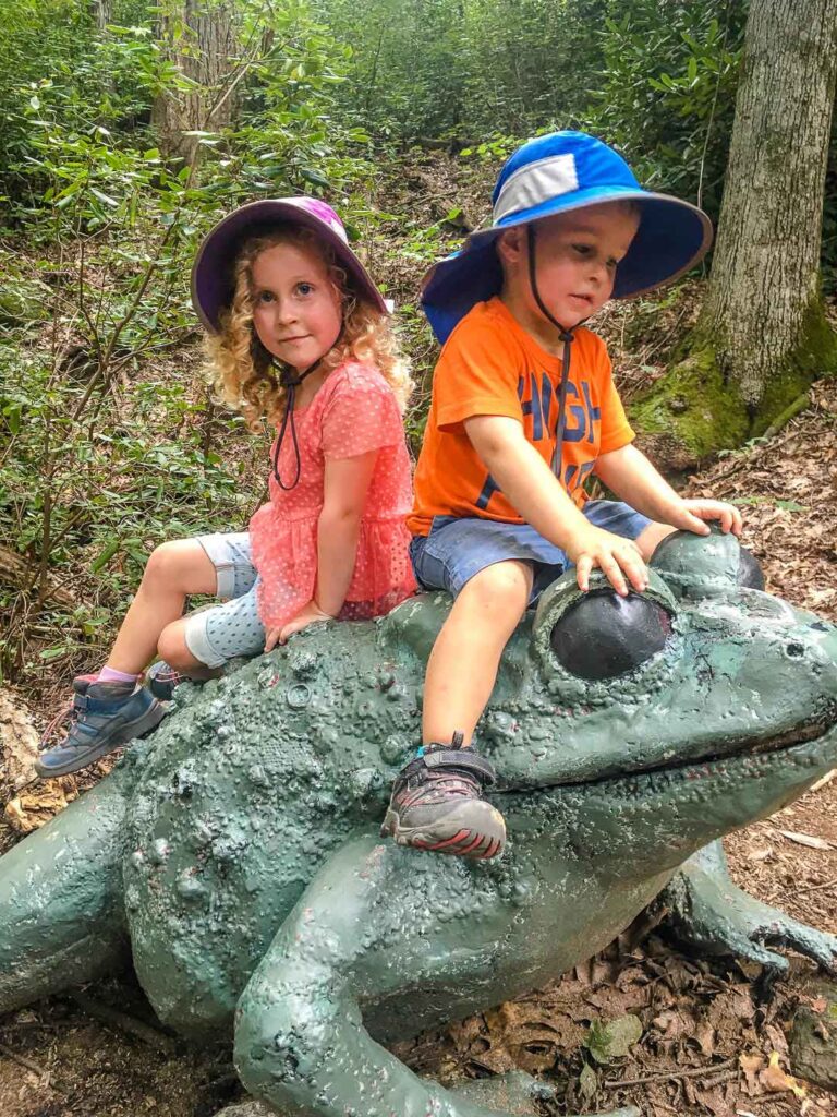 a very fun family hike in Chimney Rock State Park is the Great Woodland Adventure hike 