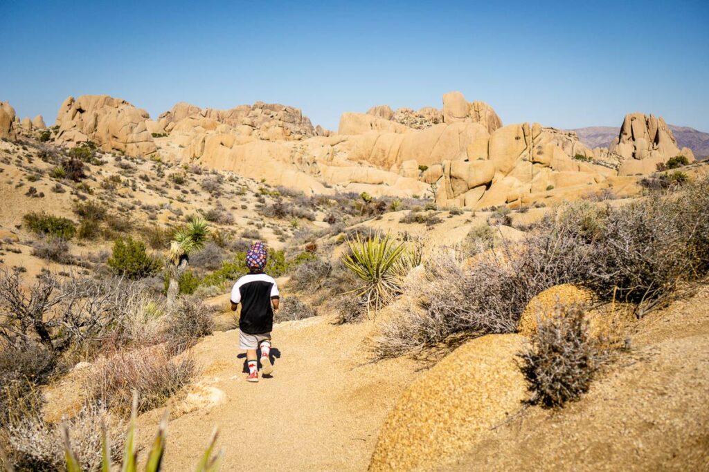 Skull Rock hike with a toddler in Joshua Tree NP