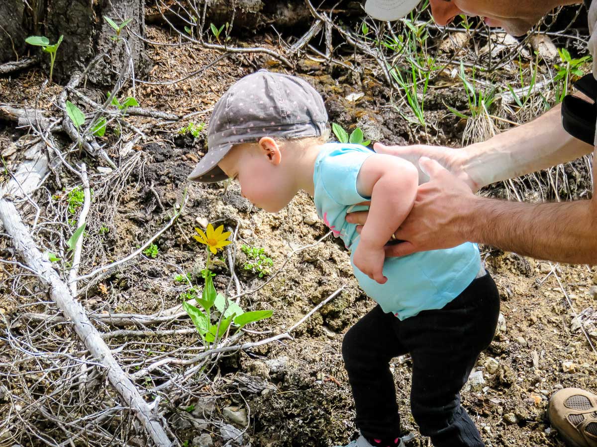 hiking with a 2 year old