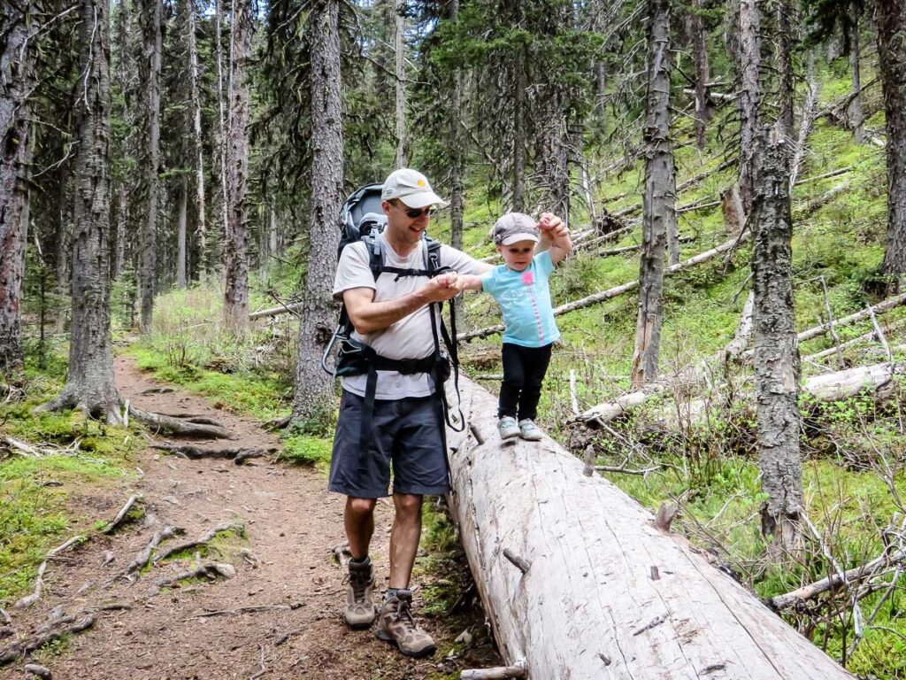 a Dad hiking with a toddler, helps her balance on a fallen tree trunk.