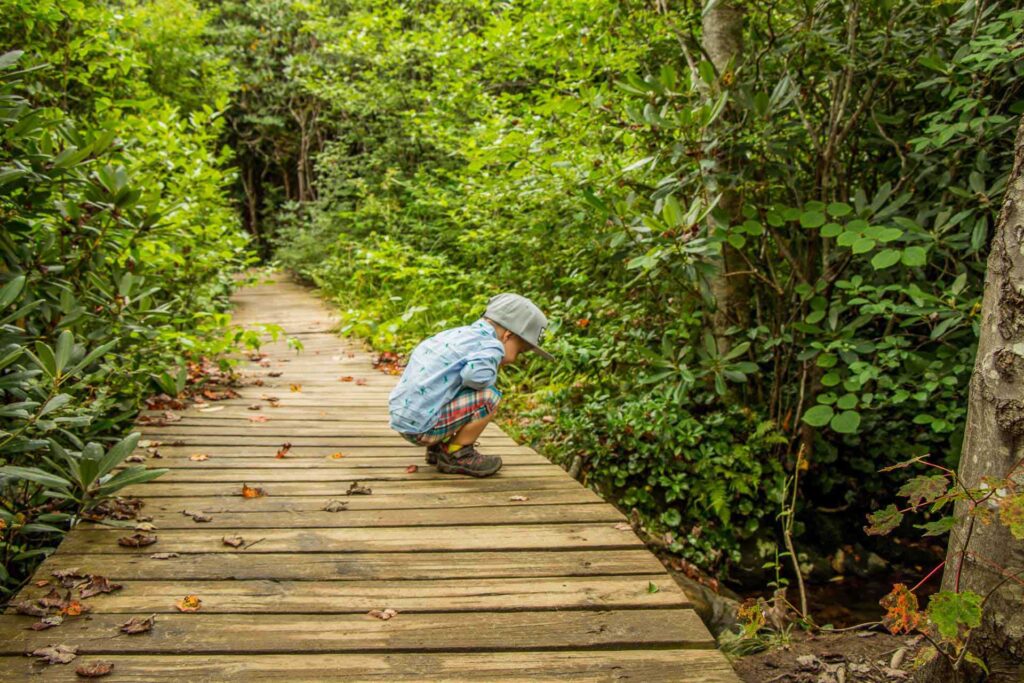 a toddler on a hike stops to look at a bug on the trail.