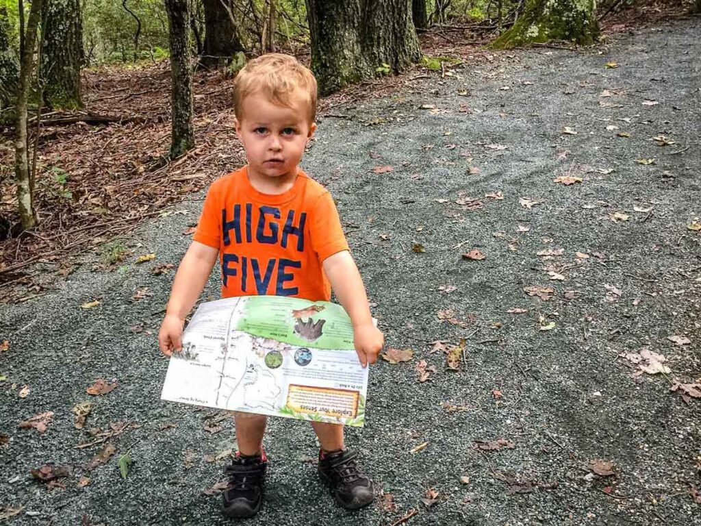 a toddler on vacation to Shenandoah National Park holds a map while hiking with his family