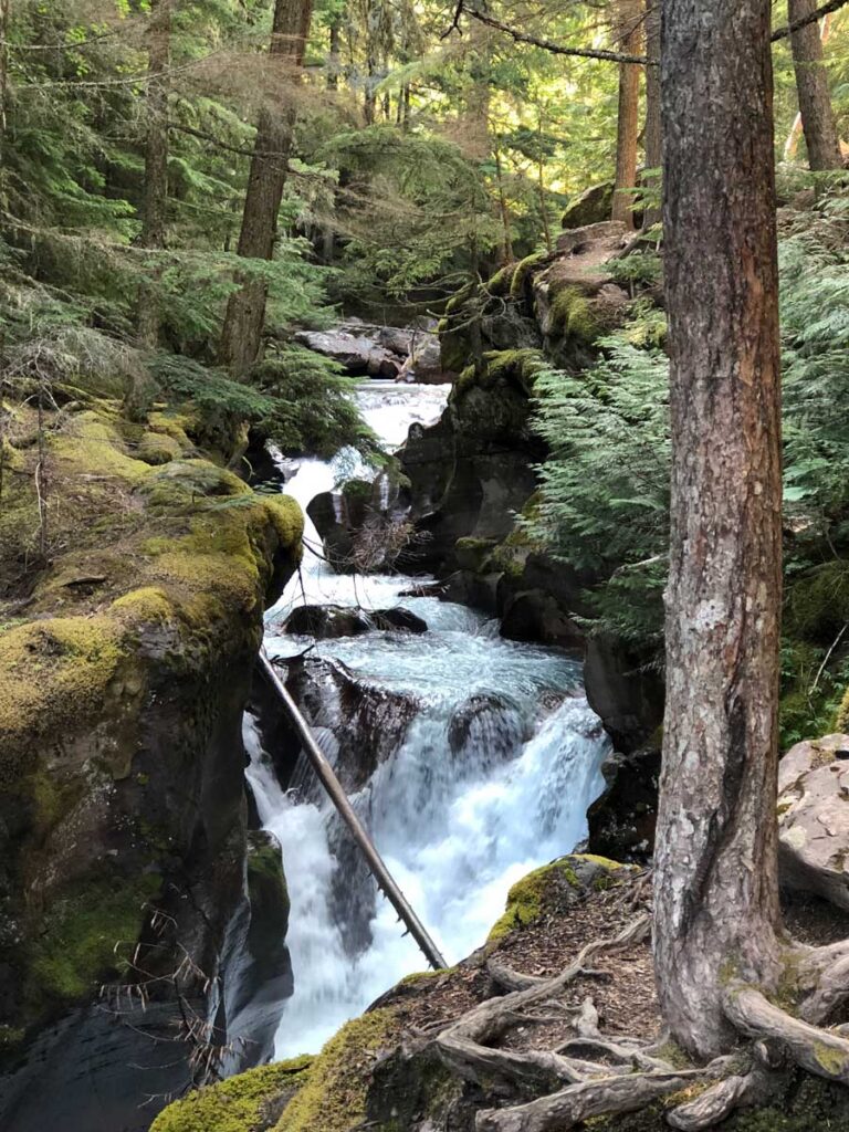 kid-friendly hiking trails in Montana - Trail of Cedars - waterfall hike