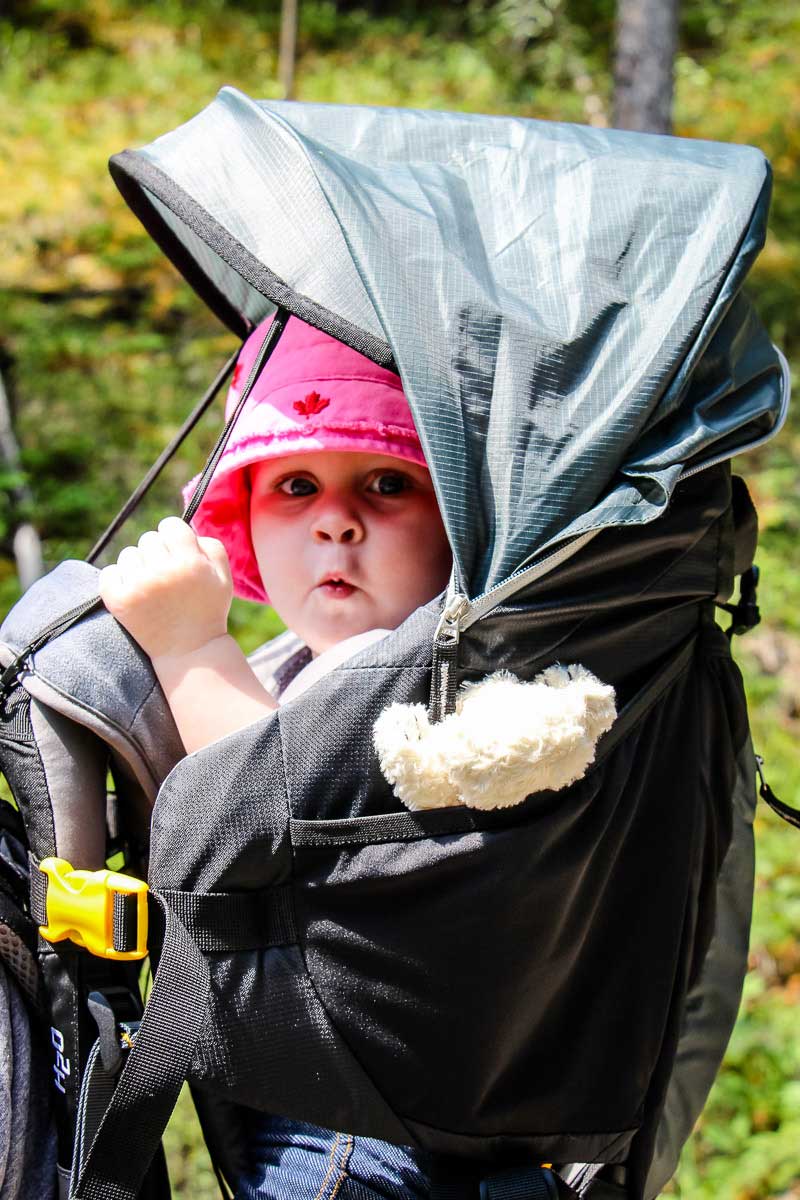 a baby enjoys being carried in a hiking backpack carrier 