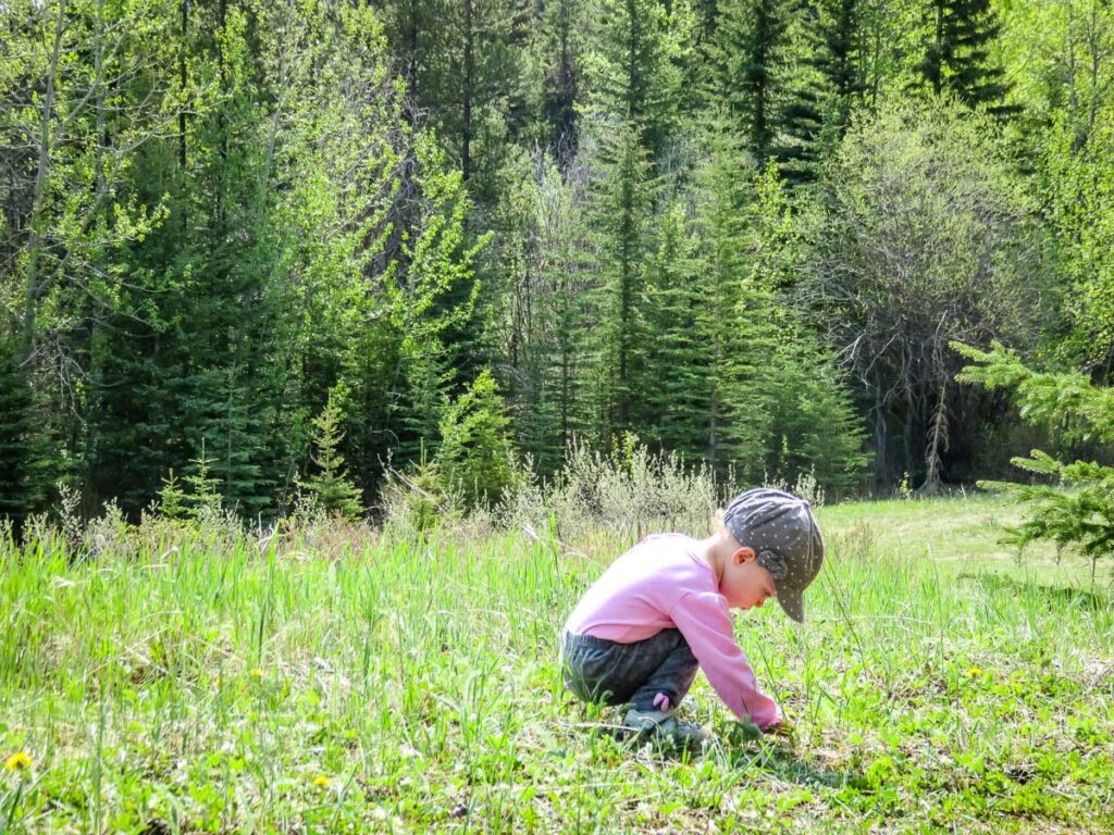 a toddler, from the BabyCanTravel.com family, plays in the grass while hiking with her family.