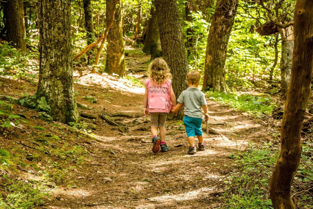 An older sister holds her toddler brother's hand while on a family hike near Shenandoah National Park.