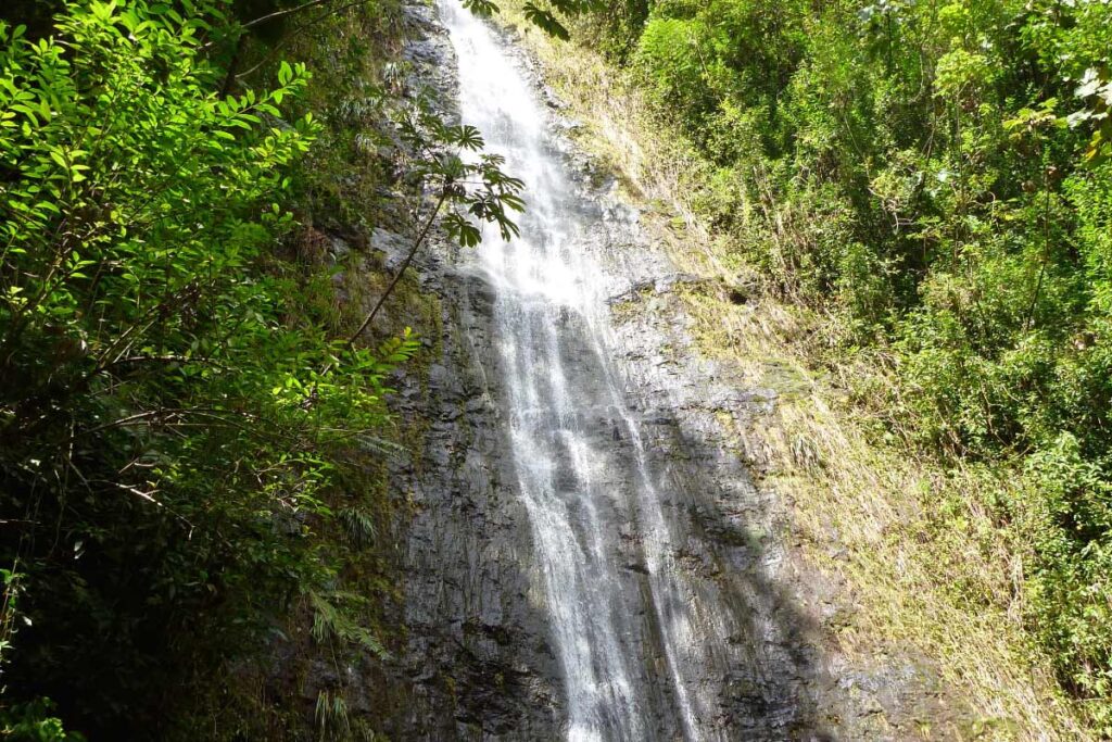 there are lots of beautiful baby-friendly and toddler hikes in Hawaii, like the Manoa Falls hike