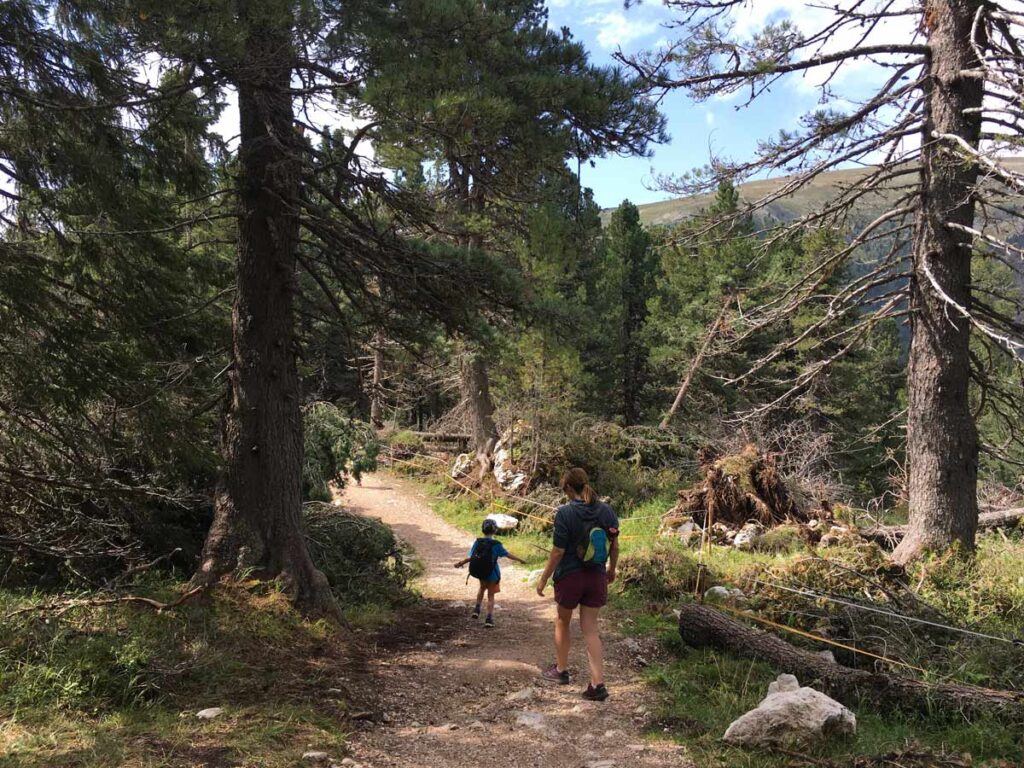 toddler hiking on the Latemar Nature Trail in Italy