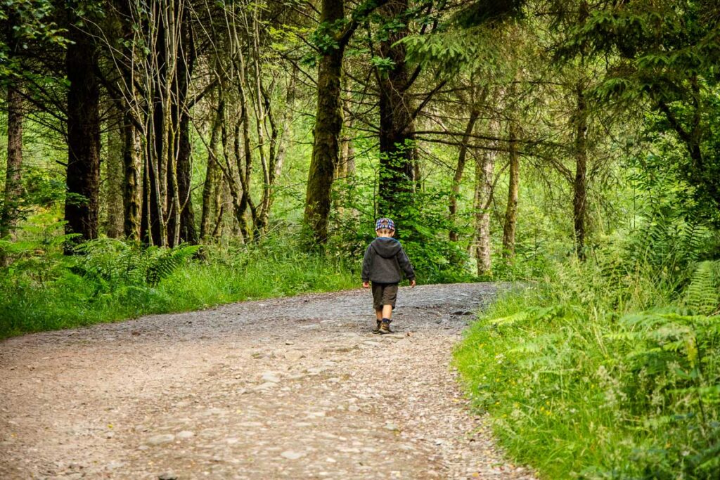 a young hiker, from the Baby Can Travel website, wears toddler hiking clothes in the forest.