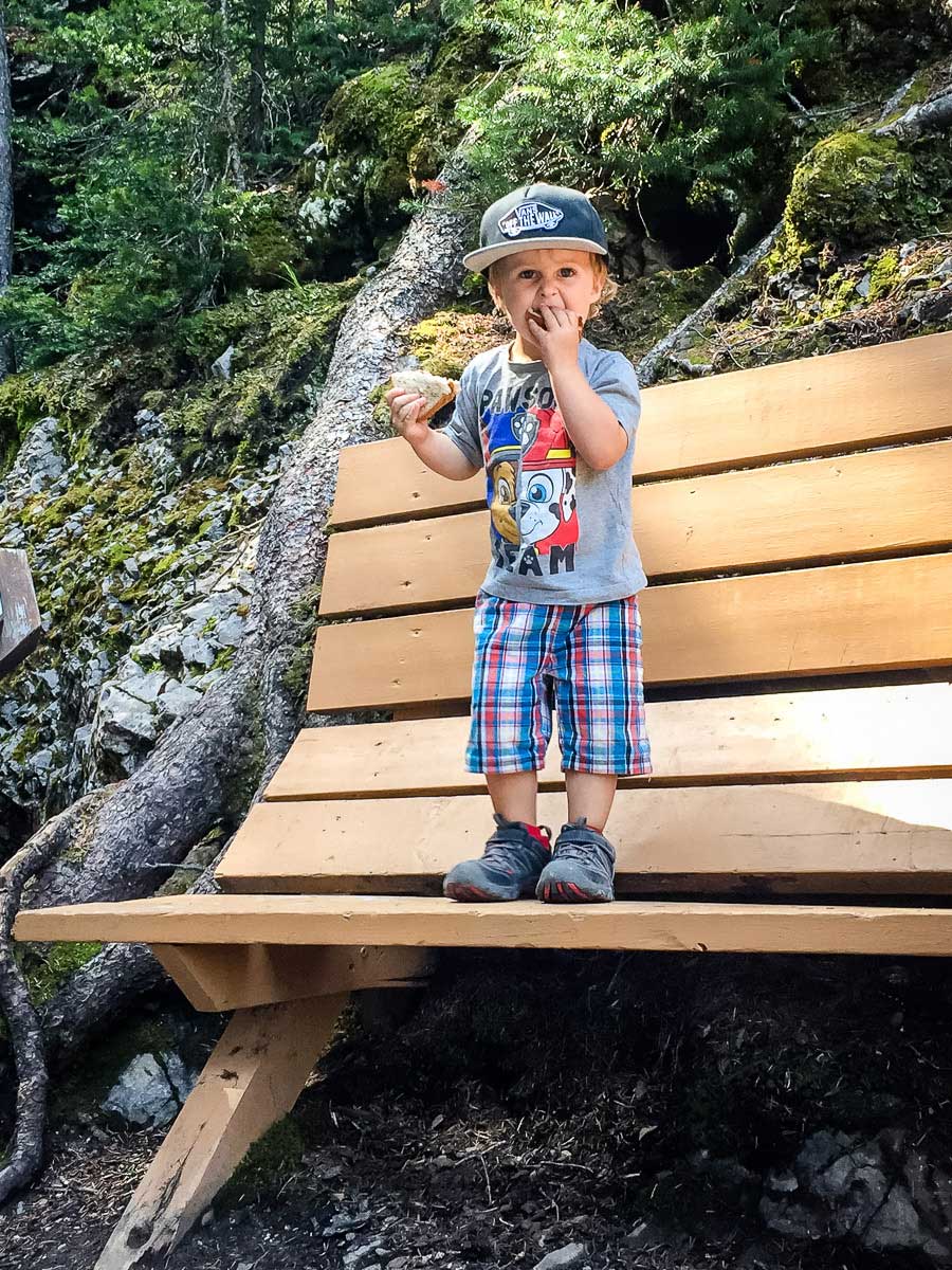 A child wearing toddler hiking boots stands on a park bench for a sandwich while on a family hike.