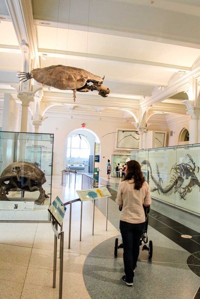 family-friendly new york museums - Natural History Museum with stroller