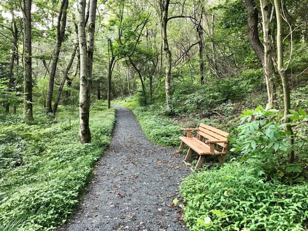 limberlost trail is a toddler friendly hike in Shenandoah NP