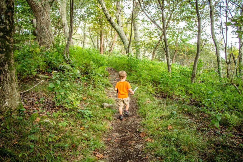 toddler friendly hikes in shenandoah