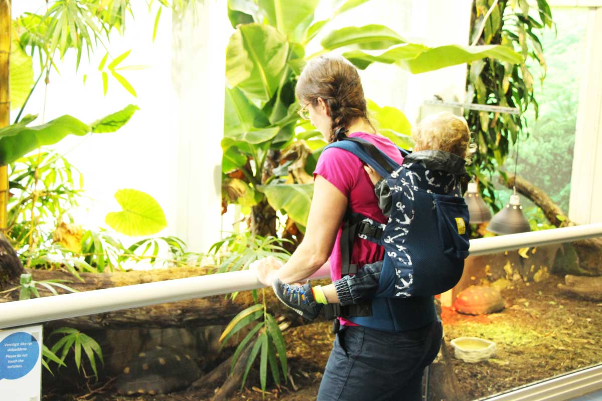 toddler carriers vs stroller for travel with a toddler