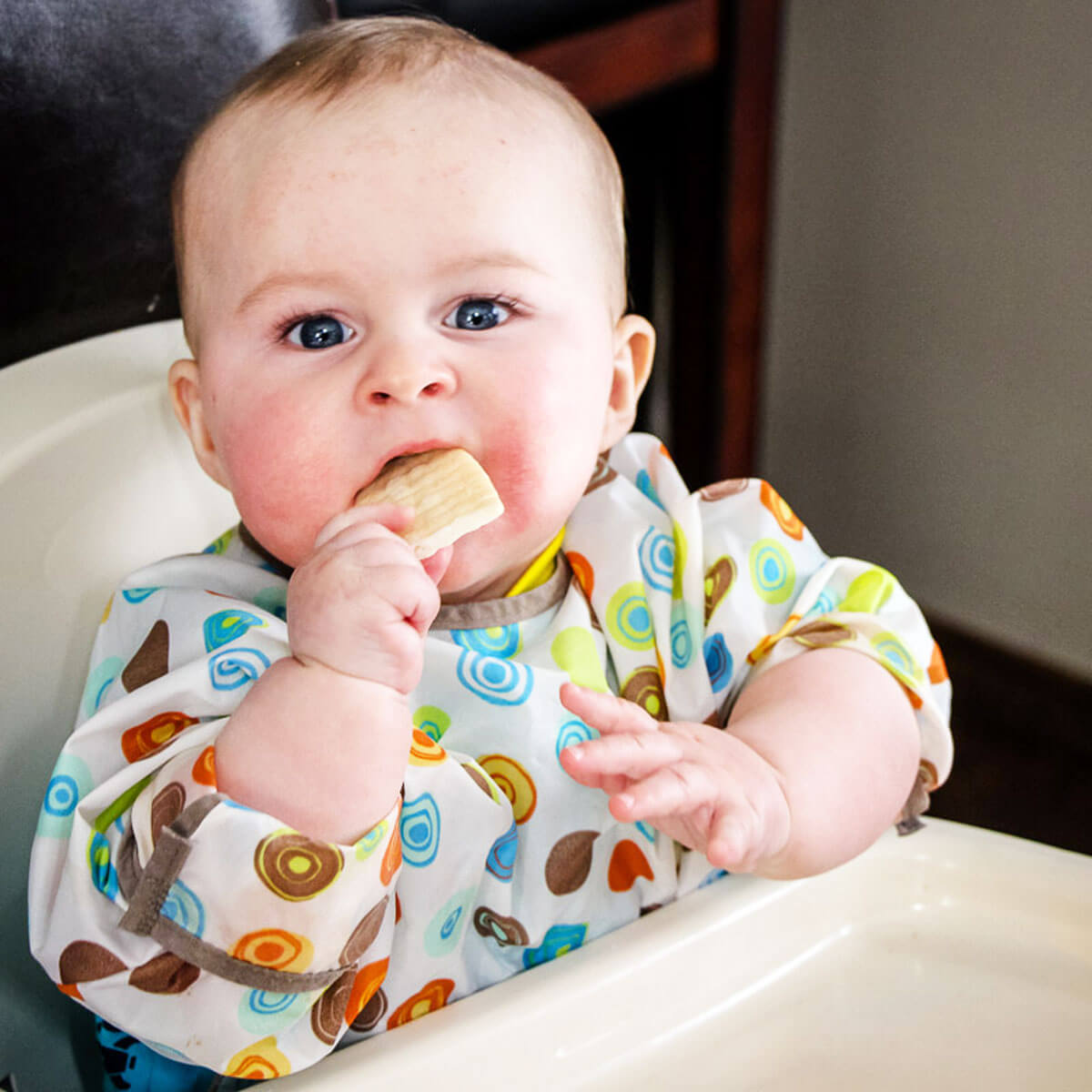 Feeding Baby Solids on Holiday