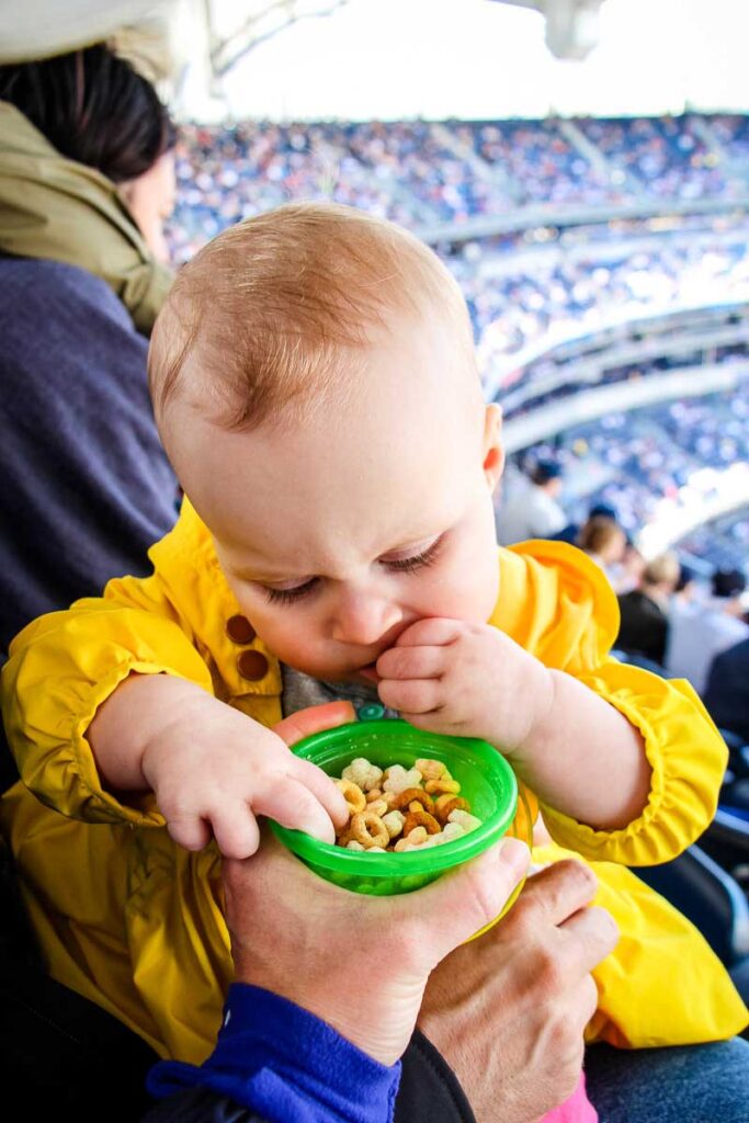 best travel snacks for feeding baby on the go