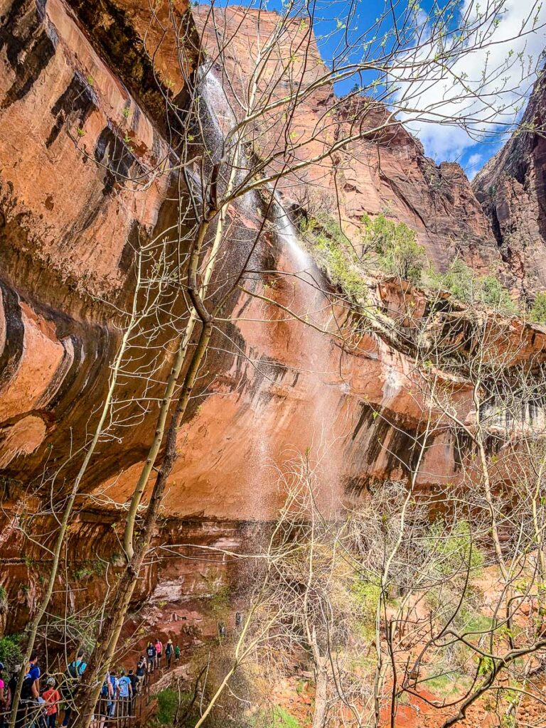 Utah national parks road trip - Lower Emerald Pool Easy hike in Zion National Park